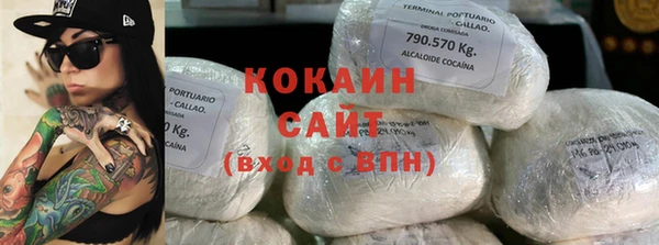 кокс Гатчина