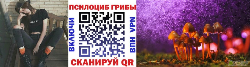 Галлюциногенные грибы мицелий  ОМГ ОМГ вход  Людиново  как найти закладки 
