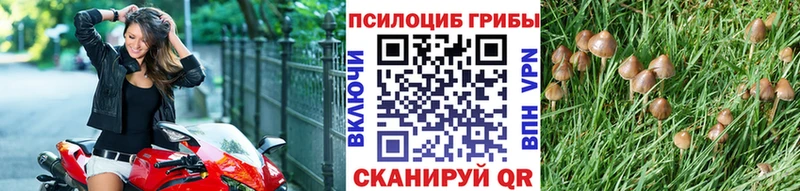 Псилоцибиновые грибы мухоморы Людиново
